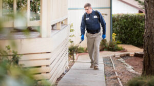 Make Ultimate Choice For The Reliable Building And Pest Inspection Gold Coast