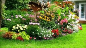 The Importance of Commercial Landscaping For Your Business