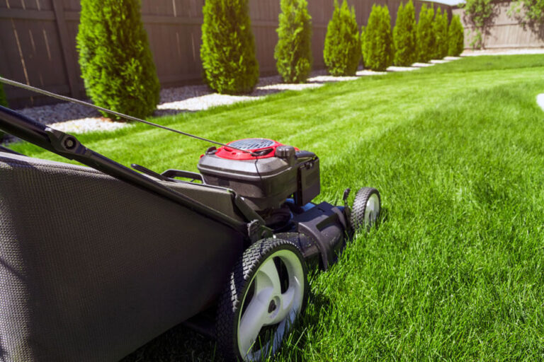 Things which you should know before hiring a lawn care service